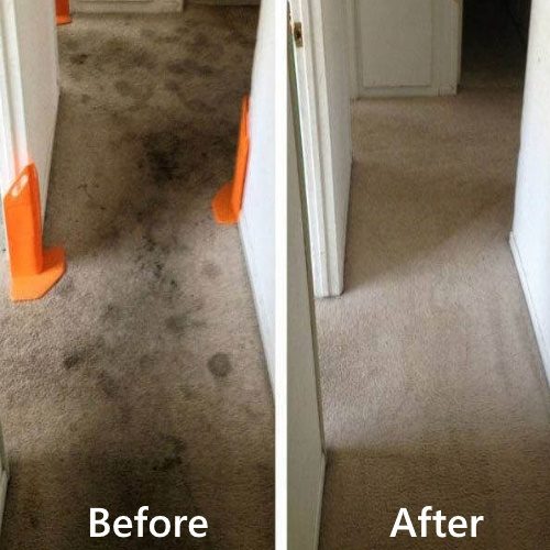 Bond Carpet Cleaning Sunshine Coast