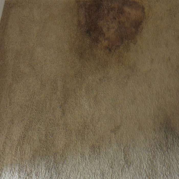 Mould on Carpet