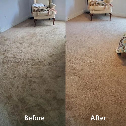 Sunshine Coast Carpet Cleaners